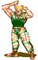 Guile-SFII-win