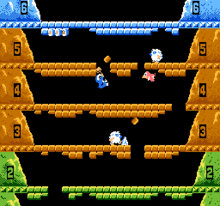 220px-NES_Ice_Climber